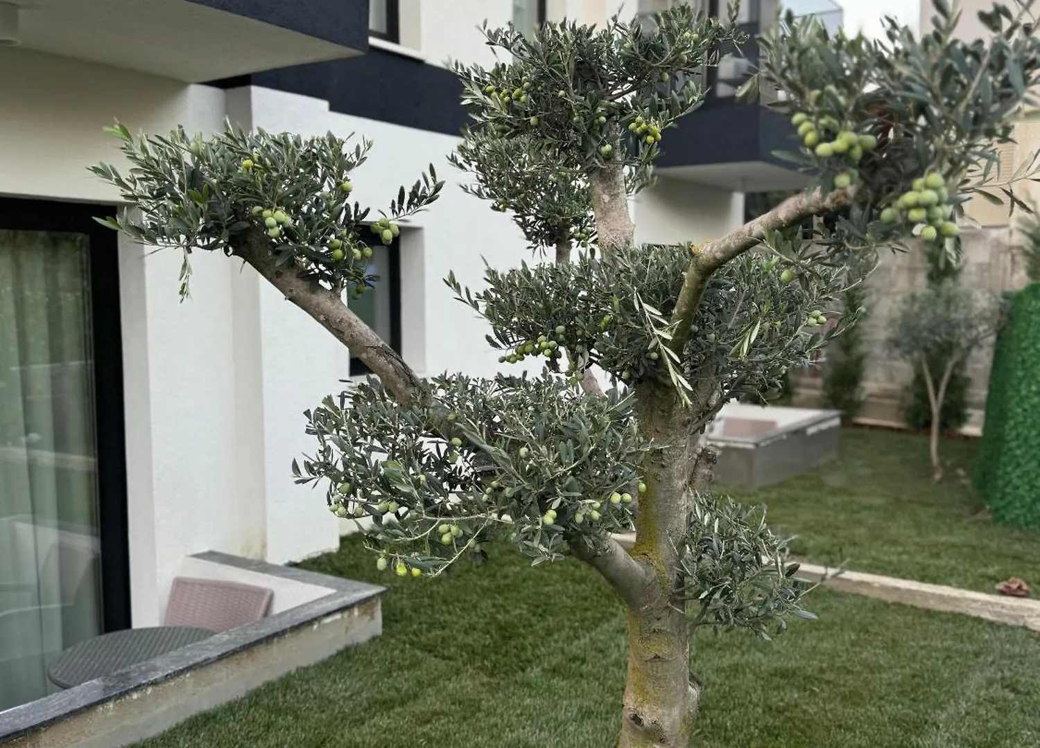 Twins Hotel Vlorë