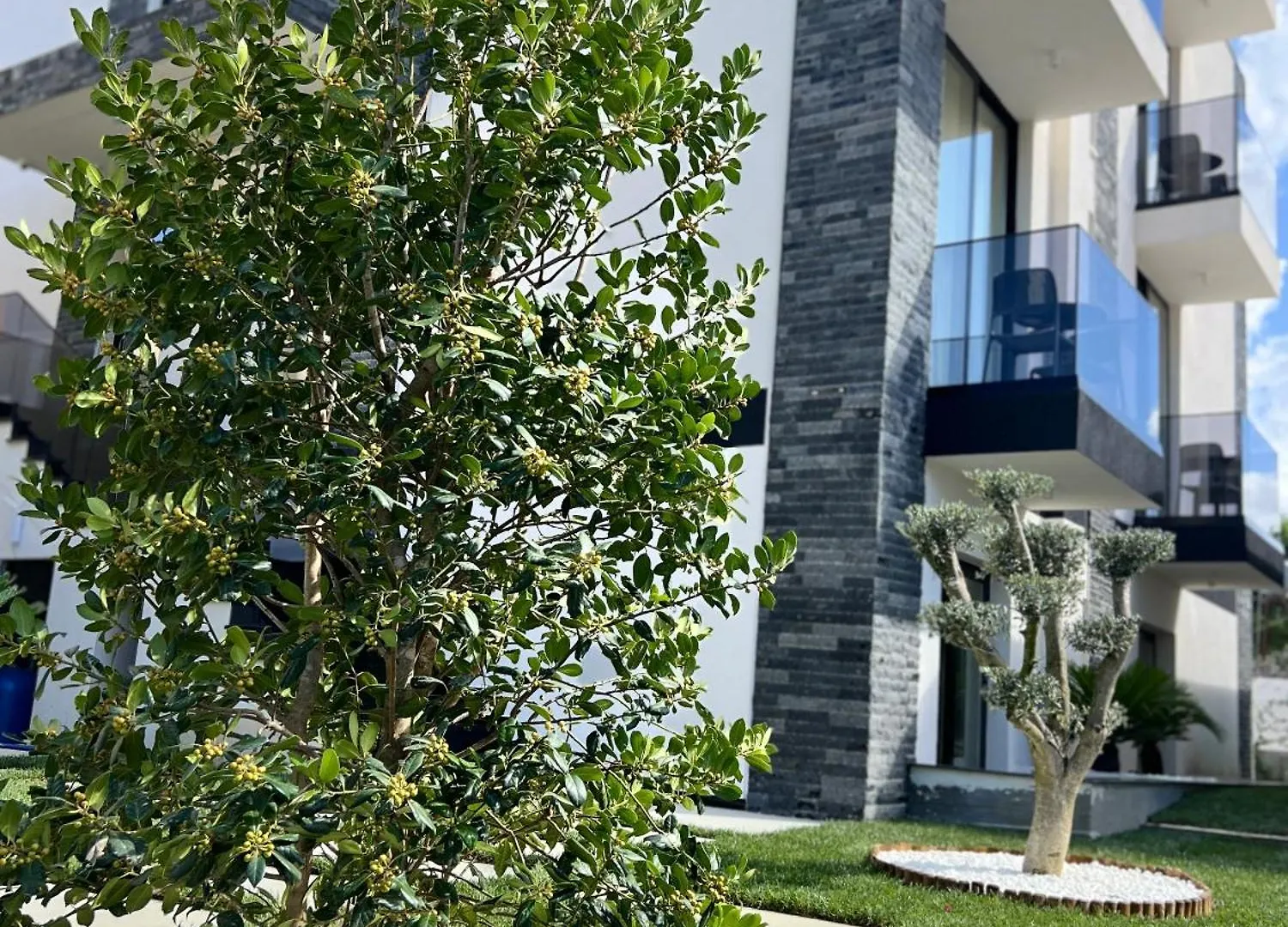 Twins Hotel Vlorë Albânia